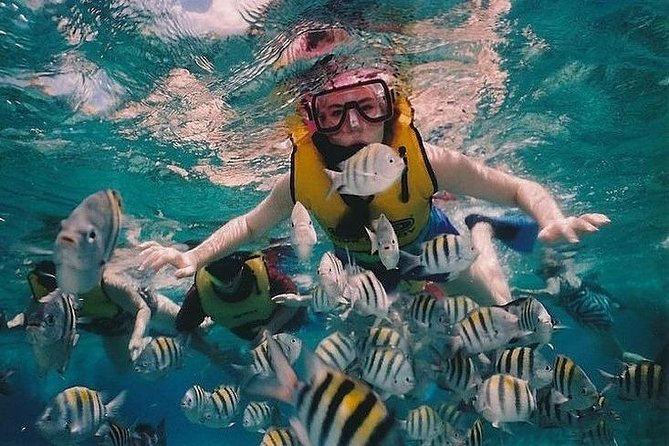 Full-Day Racha Noi and Racha Yai Snorkeling from Phuket - The second Racha Noi session and the final swim