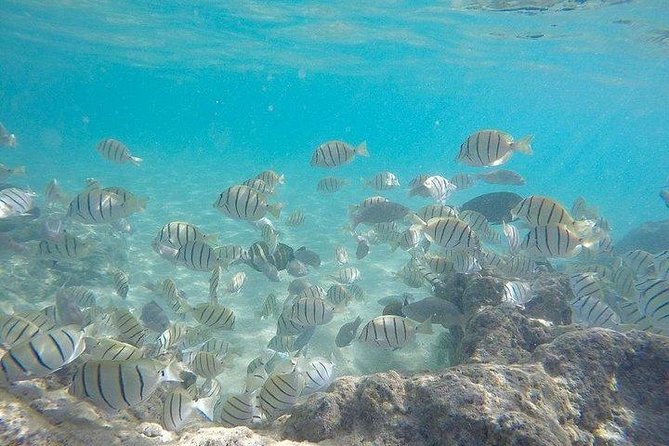 Full-Day Racha Noi and Racha Yai Snorkeling from Phuket - A scuba boat with snorkeling added