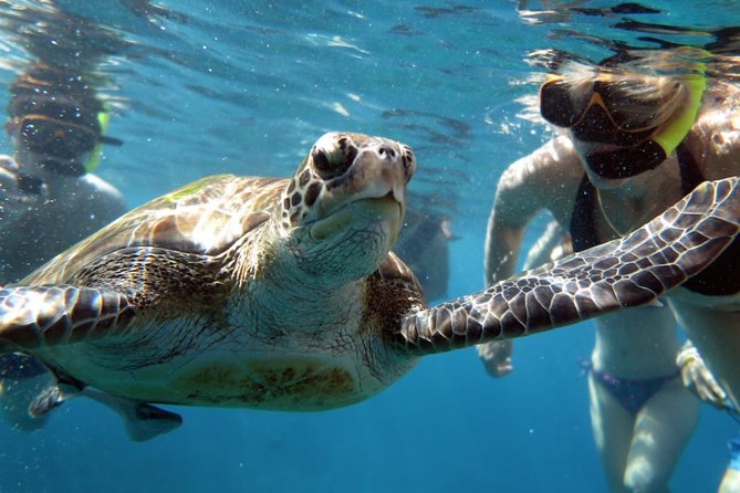 Full-day Tour to the Similan Islands by Speedboat from Khao Lak - What the guide adds to the day