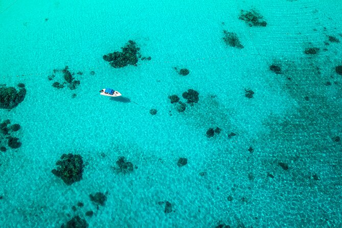 Full-day Tour to the Similan Islands by Speedboat from Khao Lak - Comfort, crowds, and the honest tradeoff