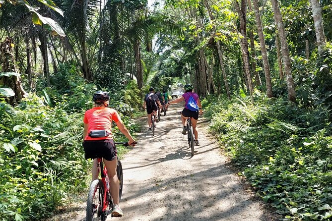 Half-Day Countryside Cycling Small-group Tour in Phuket - Why this ride shows you Phuket beyond the beaches