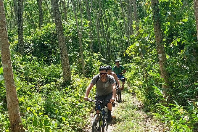 Half-Day Countryside Cycling Small-group Tour in Phuket - The 7:30 to 8:30 pickup and bike briefing