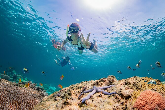 Half day Tropical Coral Island Snorkeling Tour from Phuket - Key points to know before booking