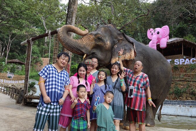 Half day with Elephants at Patong Elephant Hug （No ride No trick） - Guides, photos, and the useful little extras
