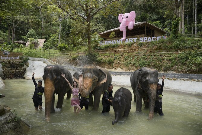 Half day with Elephants at Patong Elephant Hug （No ride No trick） - Pickup is useful, but confirm the details