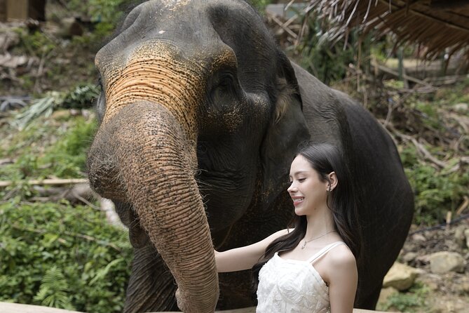 Half day with Elephants at Patong Elephant Hug （No ride No trick） - Is the $32.50 price good value?