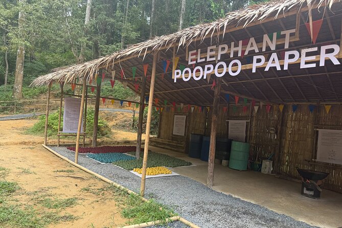 Half day with Elephants at Patong Elephant Hug (No ride No trick) - What happens in Package A