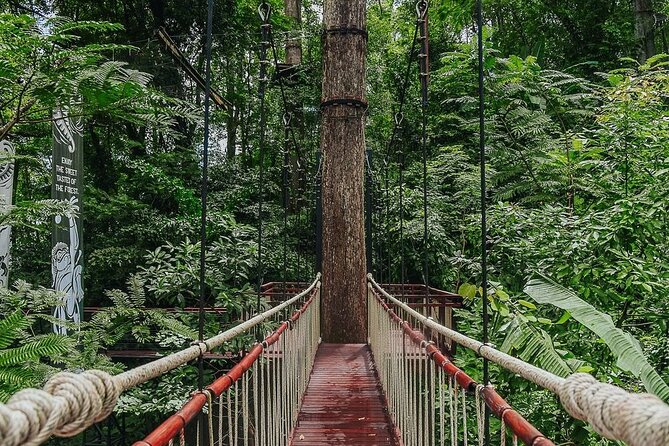 Hanuman World Zipline & Skywalk Phuket - Food and what the meal really adds