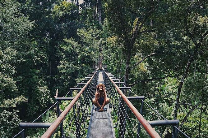 Hanuman World Zipline & Skywalk Phuket - Why the 800-meter Roller deserves attention
