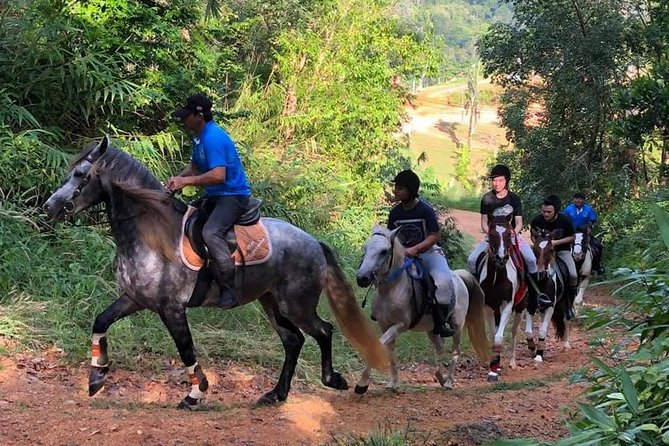 Horseback Riding 1 hour trail - Key points to know