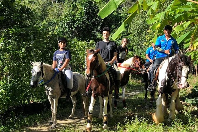 Horseback Riding 1 hour trail - What the one-hour route is really like