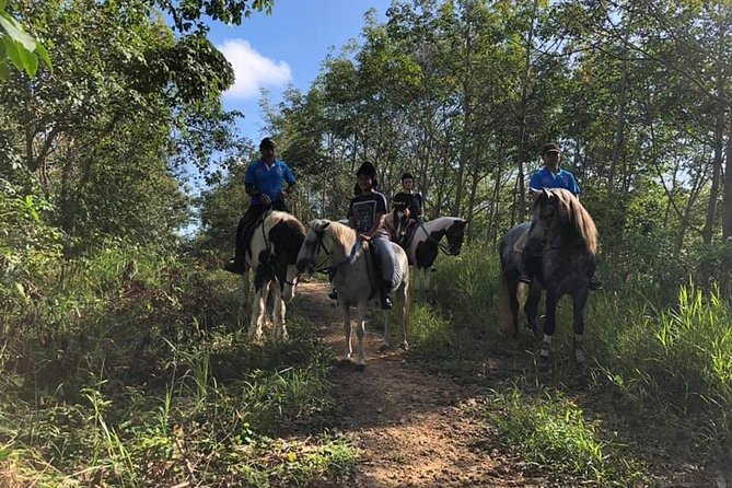 Horseback Riding 1 hour trail - A private ride with a personal feel