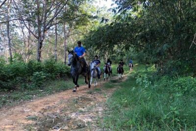 Horseback Riding 1 hour trail