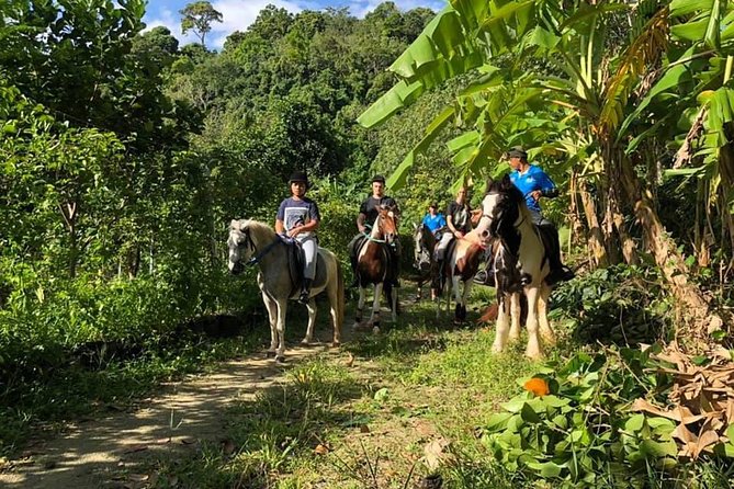 Horseback Riding 1 hour trail - Who should book this trail