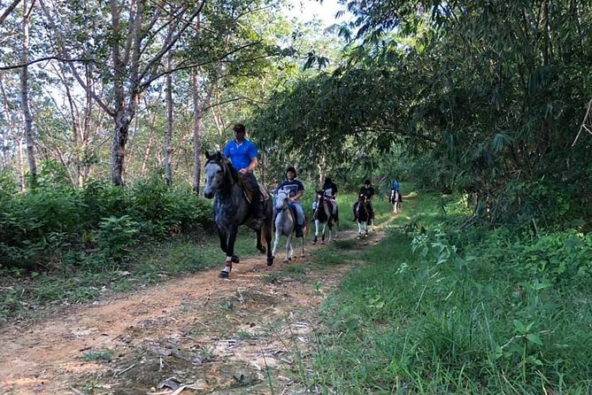 Horseback Riding 1 hour trail - Horses, instructors, and the level of help