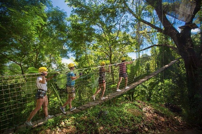 Jungle Xtreme Adventures and Zipline - A rainforest course that asks more than a zipline