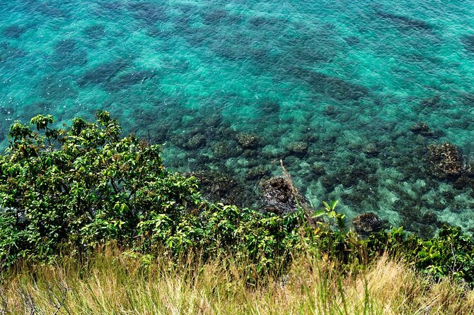 Khai Island Speedboat: Island Hopper Trip - Who will get the most from this island hop