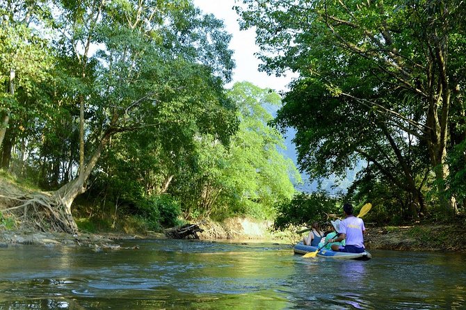 Khao Sok Adventure: Jungle Safari in Thailand’s Oldest Rainforest - Two hours on the river by canoe