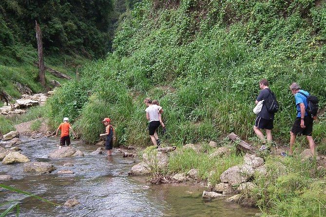 Khao Sok National Park Jungle Safari Full Day Tour from Phuket - Lunch at the jungle lodge