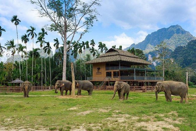 Khao Sok National Park Jungle Safari Full Day Tour from Phuket - The two-hour river canoe through the forest