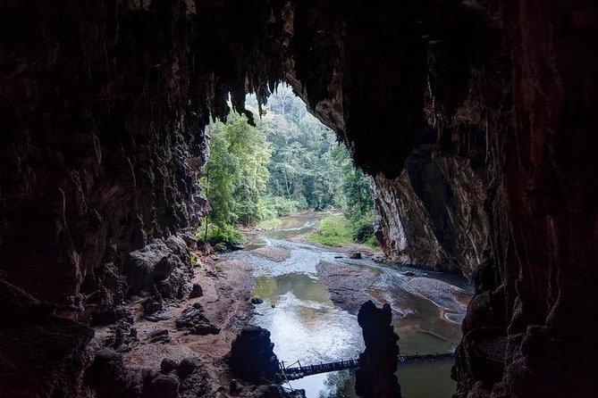 Luxury Speedboat : Day trip to PhiPhi with National Park fee - Viking Cave and Monkey Beach