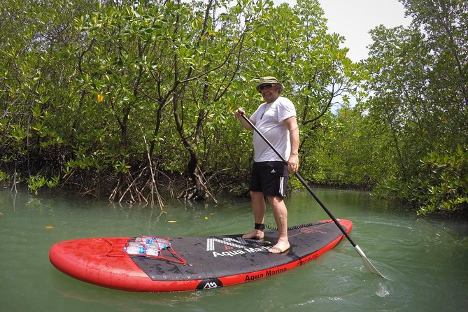 Mangroves SUP Tour Phuket - From sheltered mangroves to Phang Nga Bay