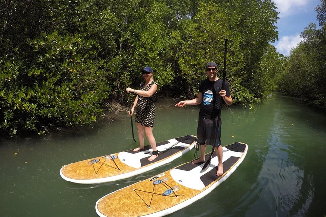 Mangroves SUP Tour Phuket - Tan’s personal style and the private format