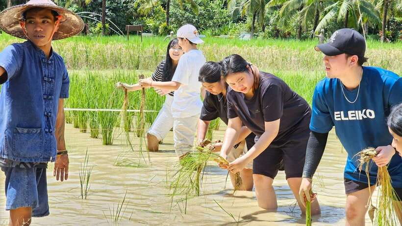 Old Phuket Farm Ticket - Countryside Local Life Culture - Who should book Old Phuket Farm?