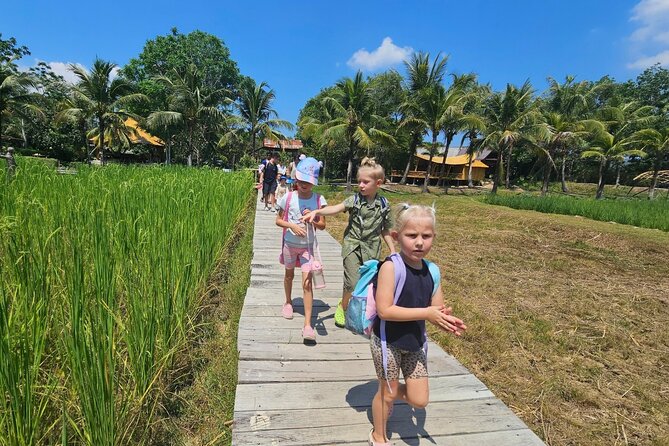 Old Phuket Farm Ticket - Countryside Local Life Culture - Pineapples, coconut, and the Thai kitchen