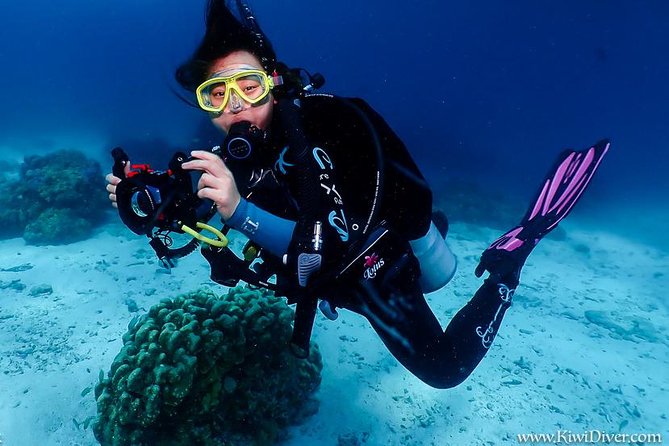 Open water scuba certifiication course with beach dives - Complete the online theory before day one