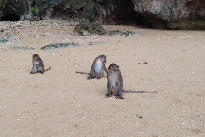 Phang Nga Bay Island Boat Tour By Speedboat By Phuket Sail Tours - Who will enjoy this outing most?