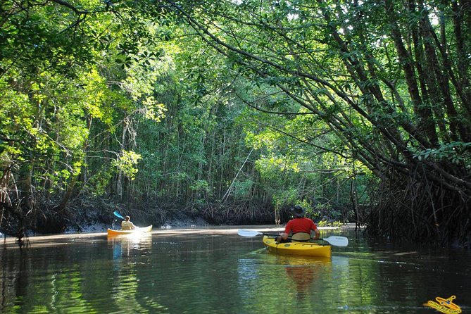 Phang Nga Bay Starlight by John Gray Sea Canoe - Lunch, dinner, and the value of the $125 price