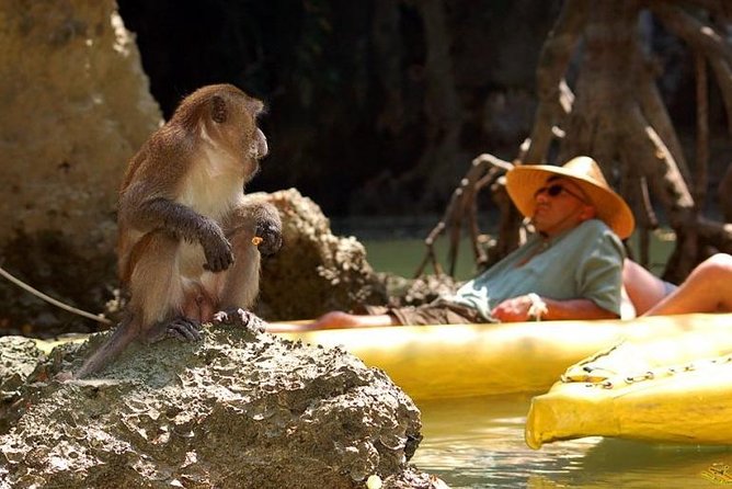 Phang Nga Bay Starlight by John Gray Sea Canoe - What the guides add to the experience