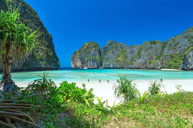 Phi Phi & Bamboo Island Full Day Tour by Premium Speed-Catamaran - Viking Cave from the boat