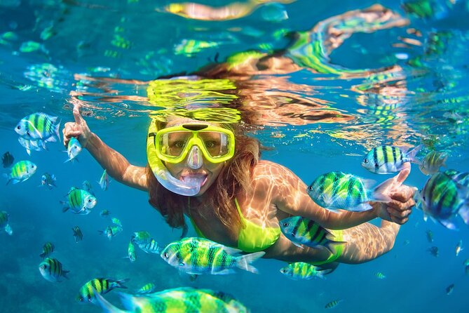 Phi Phi & Bamboo Islands Snorkeling Tour with Lunch by Speedboat - Royal Phuket Marina sets the tone