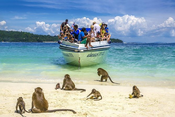 Phi Phi Island from Phuket by Speedboat (SHA Plus) - Monkey Beach and the close-up scenery