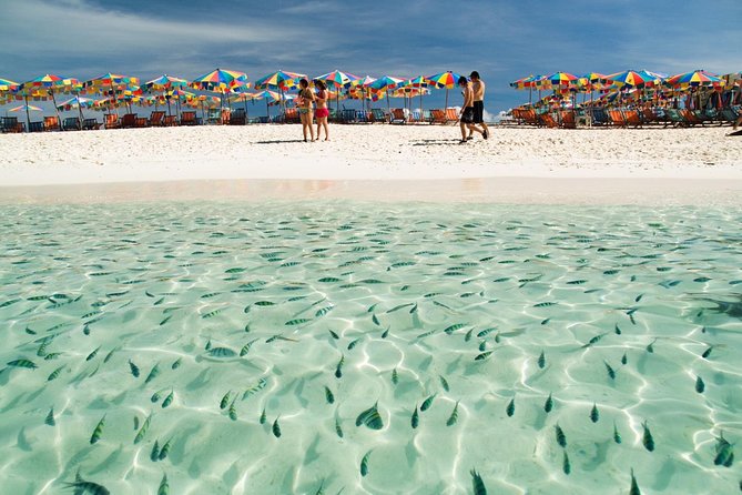Phi Phi Island from Phuket by Speedboat (SHA Plus) - How the group size changes the experience