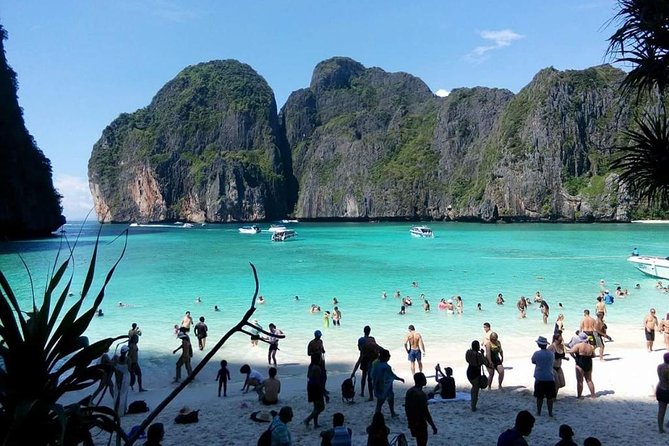 Phi Phi Island Tour by Royal Jet Cruiser with Lunch by The Sea - Who will enjoy this Phi Phi day trip