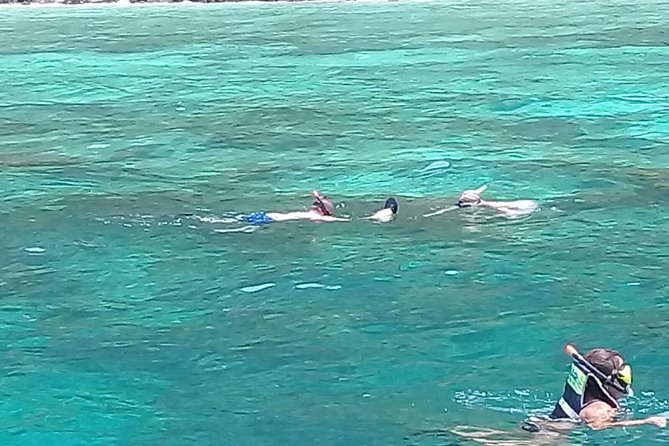 Phi Phi Islands and Khai Island Day Tour from Phuket by Speedboat - Monkey Beach and close wildlife viewing
