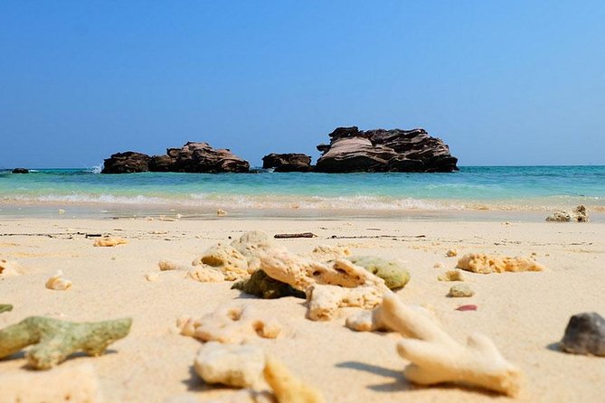 Phi Phi Islands One Day Tour by Speedboat From Phuket - What this Phuket day trip is really like