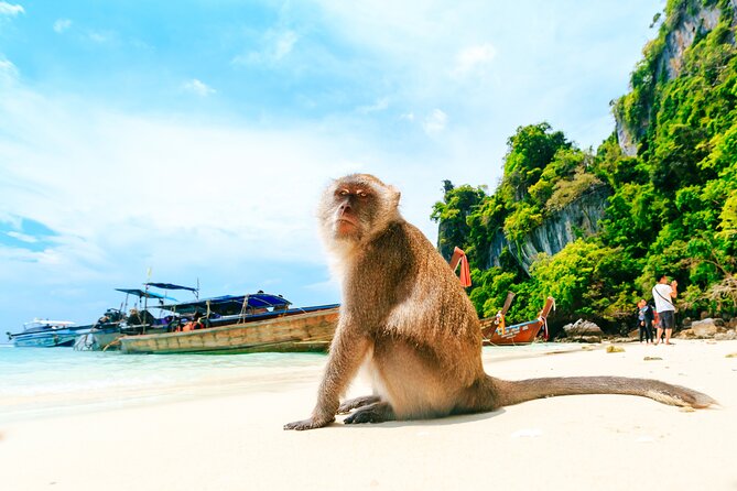 Phi Phi, James Bond & Krabi Overnight - Exclusive 2D1N - Day 2: Maya Bay before the rest of Phi Phi