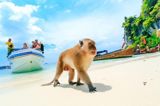 Phi Phi , Khai & Maya : Unforgettable Island Hopping by Speedboat - Phi Phi Don combines lunch, snorkeling, and free time
