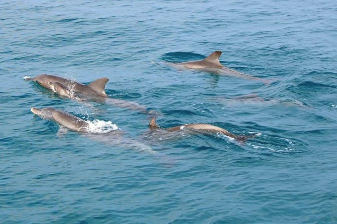Phi Phi, Maiton, Khai Island Sunset Romantic Trip By Phuket Seahorse Marine - Starting from Yamu Pier at 8:00 am
