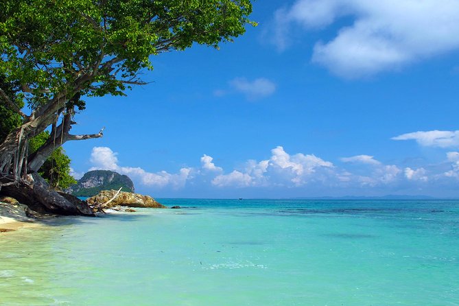 Phi Phi & Maya Bay Speedboat: All-Day Food & Choice of 3 Marinas - Phi Phi Don lunch and a useful midday break
