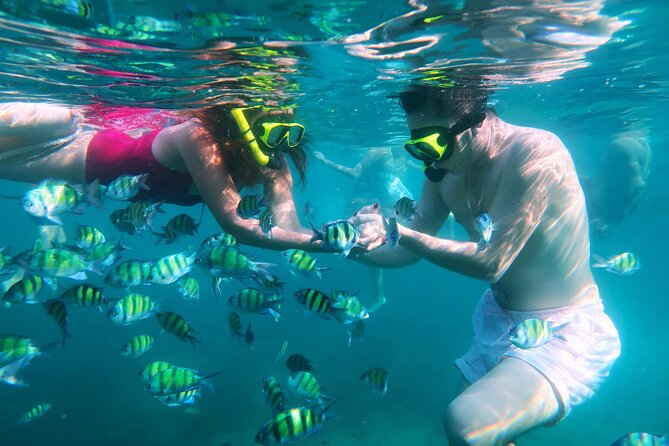 Phuket 3 Khai Island Speedboat With Snorkeling (Half or Full Day) - Khai Nok: an easy first swim