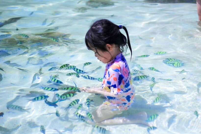 Phuket: 3 Khai Islands Relax & Snorkeling Half/Full Day Tour - Guides, safety, and the feel of the trip