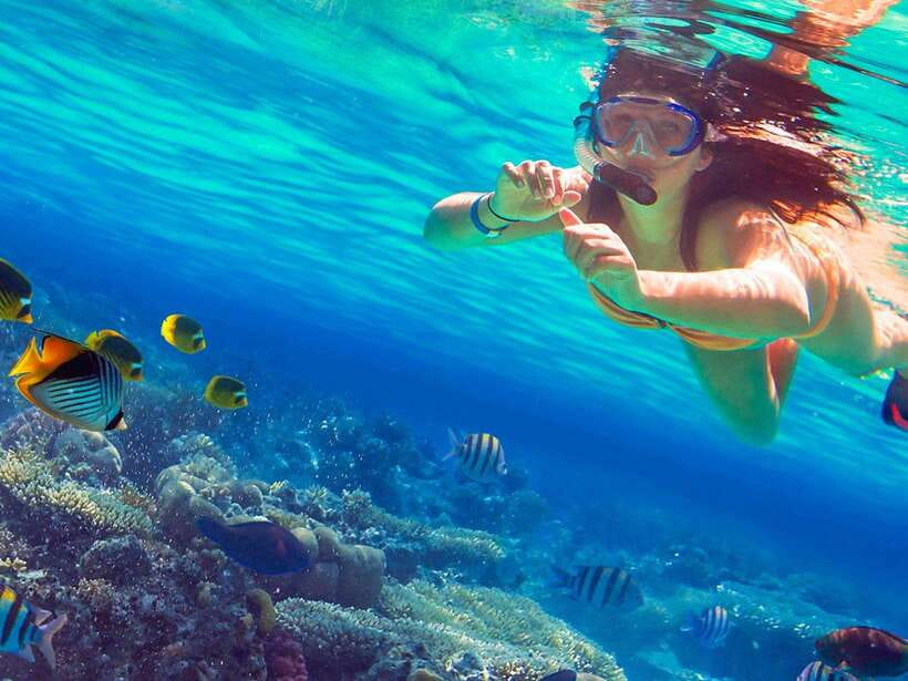 Phuket: 3 Khai Islands Snorkeling Tour - The van ride, marina briefing, and speedboat departure