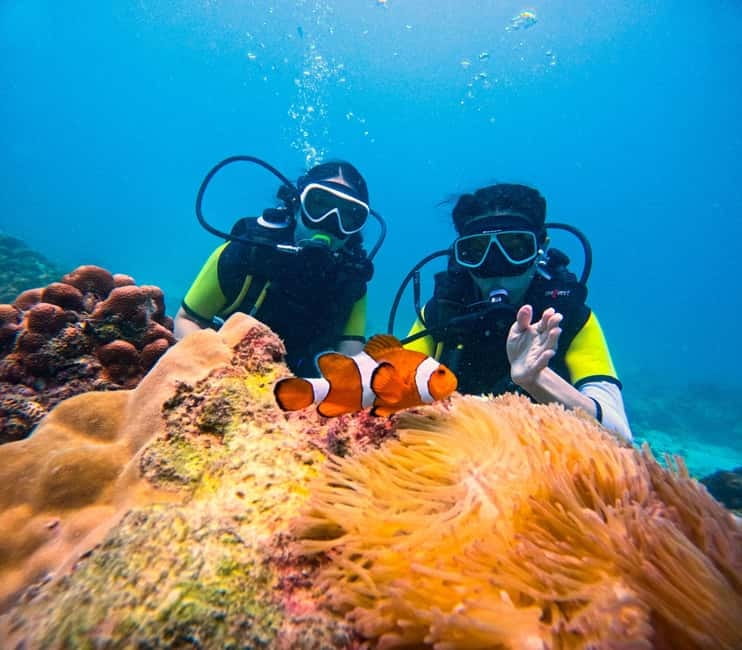 Phuket: 3 Khai Islands Speedboat Tour- Snorkeling & Relaxing - Key things to know before booking