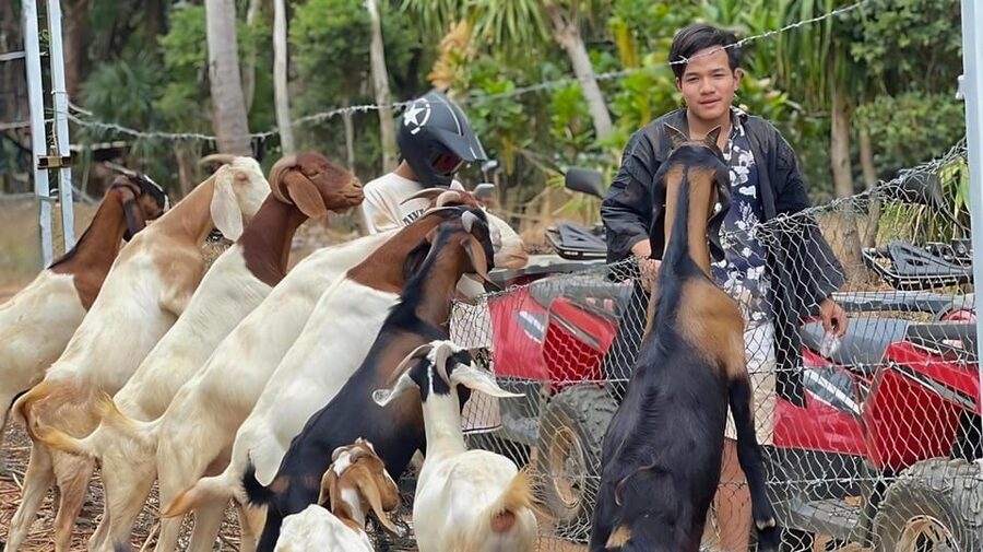 Phuket: ATV Ride with Secret Sea Viewpoints and Swing - The sea viewpoints and photo stops