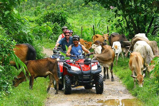 Phuket ATV Seaview On Tour - Hotel pickup across Phuket